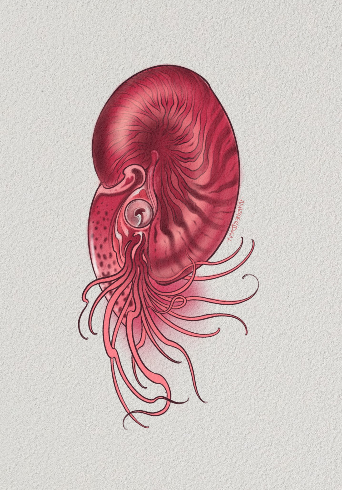 Mystical Ocean Flash by Ash Sheridan — The Ink Factory Dublin
