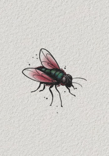 Tiny Flash Fly by Ash Sheridan — The Ink Factory Dublin