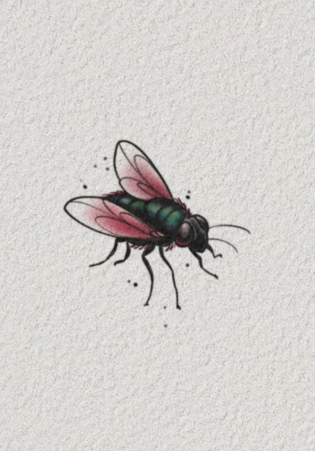 Tiny Flash Fly by Ash Sheridan — The Ink Factory Dublin