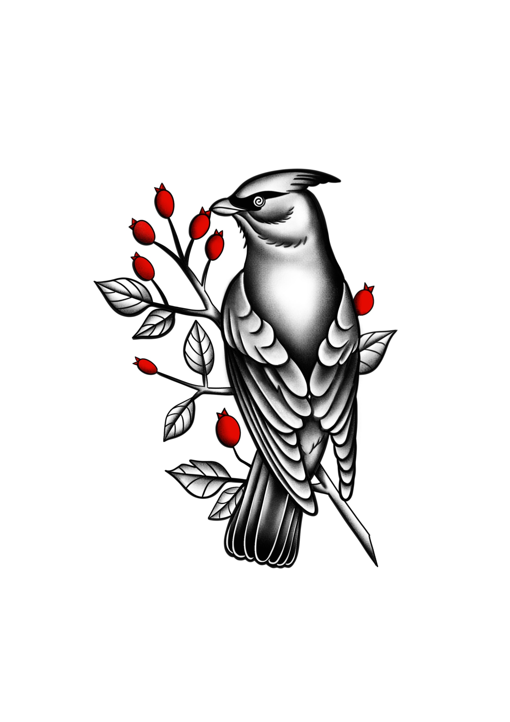  Blackwork tattoo design of a cardinal on a branch by Mateus Luis