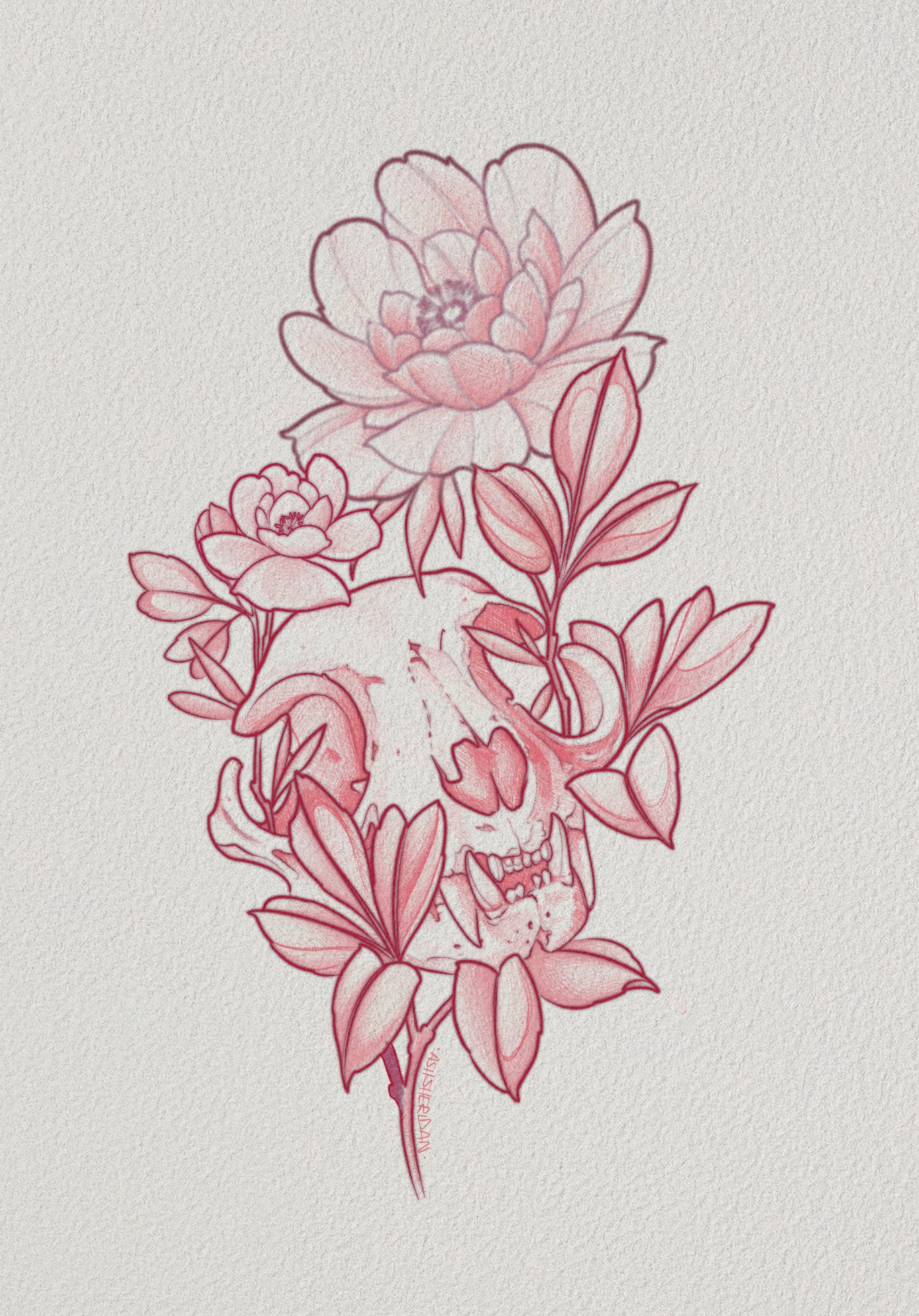 Catskull Peony Tattoo Design by Ash Sheridan – Floral Skull Flash at The Ink Factory Dublin

