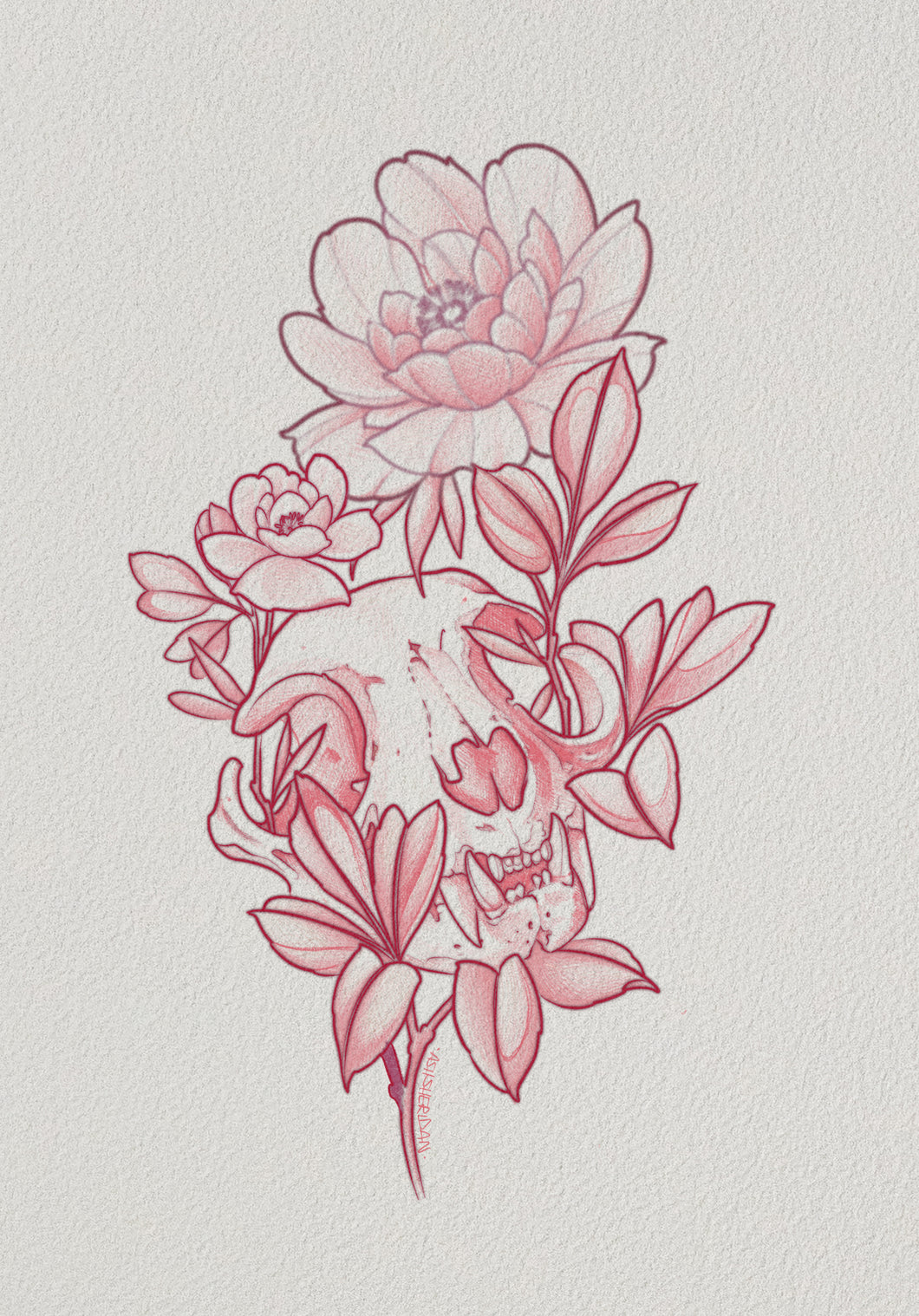 Catskull Peony Tattoo Design by Ash Sheridan – Floral Skull Flash at The Ink Factory Dublin

