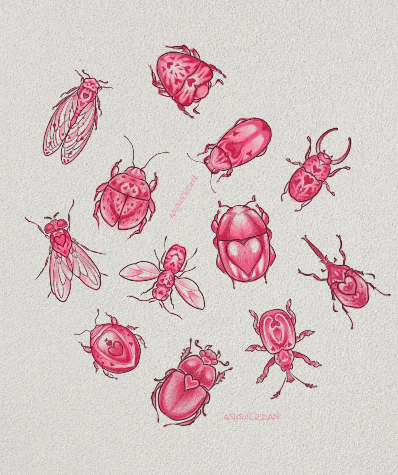 Lovebugs Tattoo Design by Ash Sheridan – Playful Insect Blackwork Flash at The Ink Factory Dublin

