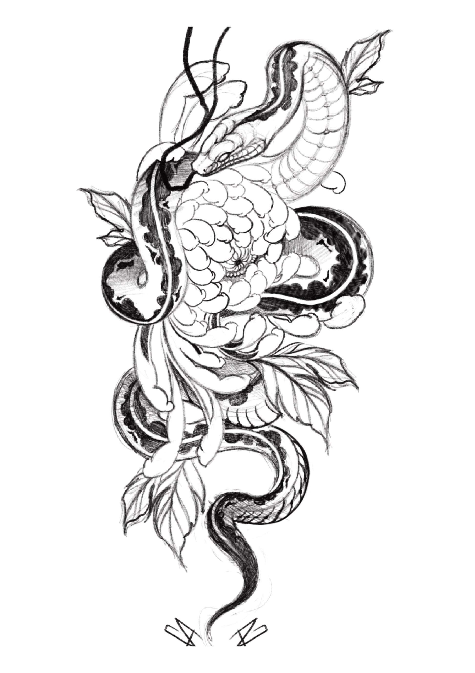 Large-scale blackwork tattoo flash of a coiled snake and blooming chrysanthemum flower by Raul Graciotti

